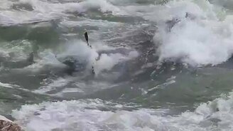 Отважные рафтеры - смотреть видео (4:03)