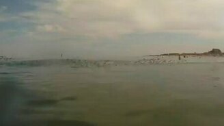 Рыбные стаи в панике - смотреть видео (0:29)