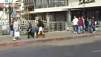 Странная работа пугать из кустов - смотреть видео (0:40)