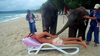 Массаж от слонов - смотреть видео (1:32)