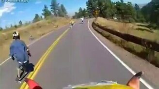 Внезапная газель - смотреть видео (0:22)