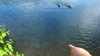 Тренирует рыболовов - смотреть видео (1:34)