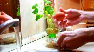 Как быстро очистить варёное яйцо - смотреть видео (0:24)