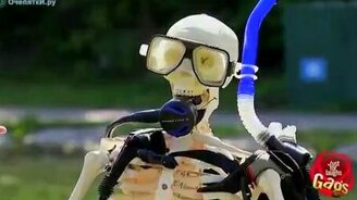 Осторожно, пираньи! - смотреть видео (1:12)