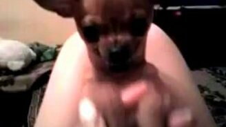 Маленький монстрик - смотреть видео (0:30)