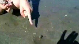 Девушки и моллюски - смотреть видео (2:09)