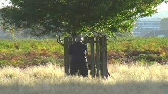 Охота оленя на человека - смотреть видео (1:07)