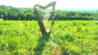 Ветер играет на арфе - смотреть видео (1:36)