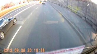 Какая настырная собака - смотреть видео (0:17)