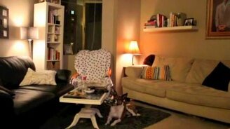 Проказник в одиночестве - смотреть видео (2:43)