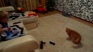 Мальчишка против вредного кота - смотреть видео (1:06)