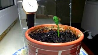 3 дня за минуту - смотреть видео (0:54)