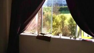 Как начинаются пожары - смотреть видео (1:13)