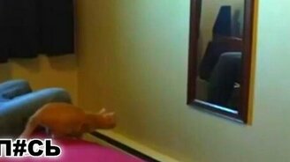 Попытка телепортации - смотреть видео (0:13)