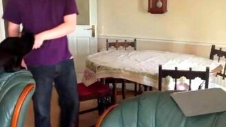 Кошачий слайд по скатерти - смотреть видео (0:10)