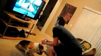 Увлёкся игрой - смотреть видео (0:19)