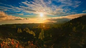 Красота дикой природы - смотреть видео (1:24)