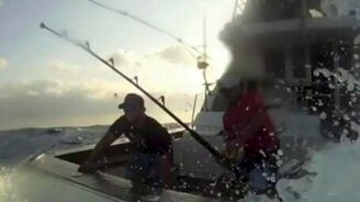 Опасная рыба-меч - смотреть видео (2:34)