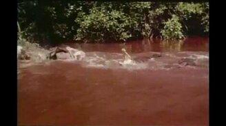 Каскадёр бегает по крокодилам - смотреть видео (1:10)