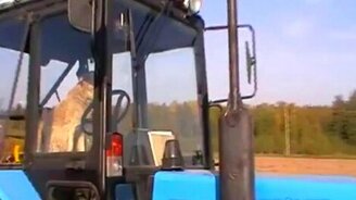 Собака за рулём трактора - смотреть видео (0:48)