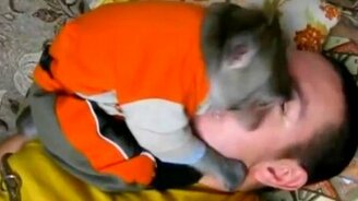 Вот это у них детишки! - смотреть видео (8:17)