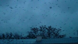 Начало конца света... - смотреть видео (0:55)