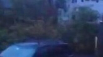 В США валятся деревья - смотреть видео (1:43)