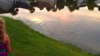 Крокодил украл рыбину - смотреть видео (0:32)