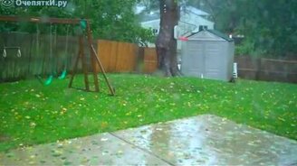 Дерево не устояло в ураган - смотреть видео (1:00)