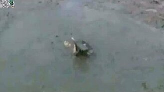 Как в Японии школьников наказывают - смотреть видео (0:23)