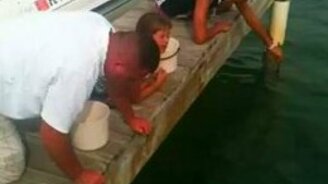 Рыба чуть не откусила девочке руку - смотреть видео (0:32)