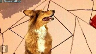 Животная пародия на Somebody That I Used To Know - смотреть видео (1:25)