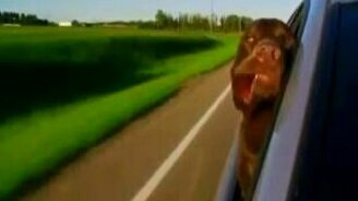 Парусит щеками - смотреть видео (0:19)