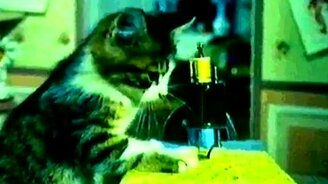 Прикольный микс из жизни - смотреть видео (5:24)