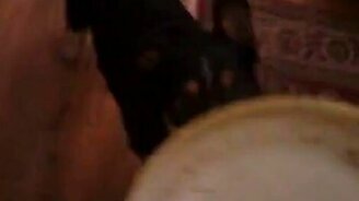 Понимающий пёс - смотреть видео (0:59)