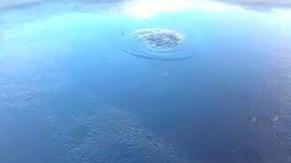 Необъяснимое в луже - смотреть видео (2:24)