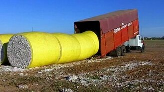 Умелая погрузка хлопка - смотреть видео (1:31)