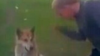 Здорово, друг! - смотреть видео (0:08)