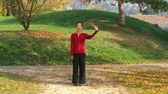 Эффектный витой танец - смотреть видео (3:04)