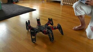 Необычный домашний питомец - смотреть видео (3:18)