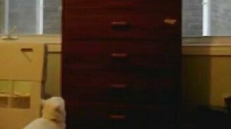 Не взял высоту - смотреть видео (0:33)