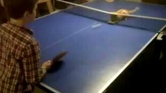 Кошачий теннис - смотреть видео (0:35)