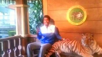 Сфоткался с тигром - смотреть видео (0:20)