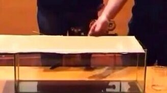 Выглядит, как чудо - смотреть видео (0:31)