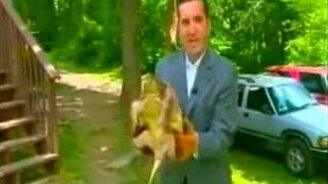 Ловкая черепаха - смотреть видео (0:14)