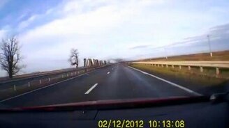 Птицы на дороге внезапно - смотреть видео (0:22)