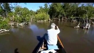 Аа, крокодилы! - смотреть видео (0:31)