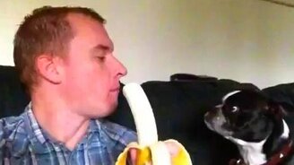 Хозяин, поделись! - смотреть видео (0:18)