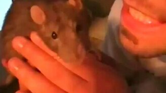 Живая зубная щётка - смотреть видео (1:06)