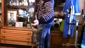 Хозяин, не уходи! - смотреть видео (0:40)